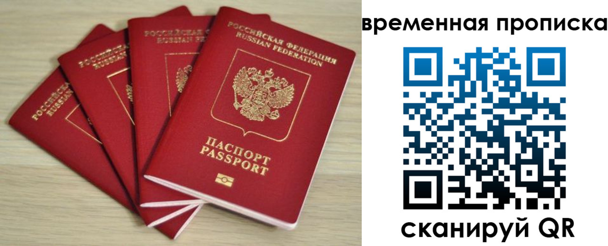 прописка для школы в Коряжме