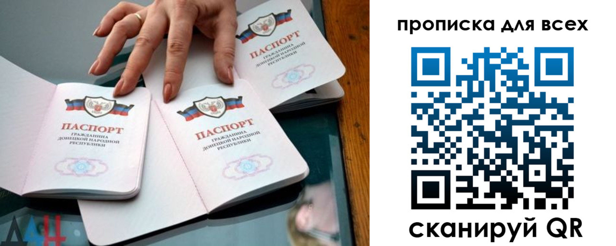 прописка гарантия в Коряжме